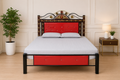 The Vibrant Red & Carved Gold Floral Iron Bed Frame | Premium Modern Bed